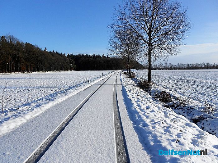 Op straat een zooi: maar de bossen super mooi
