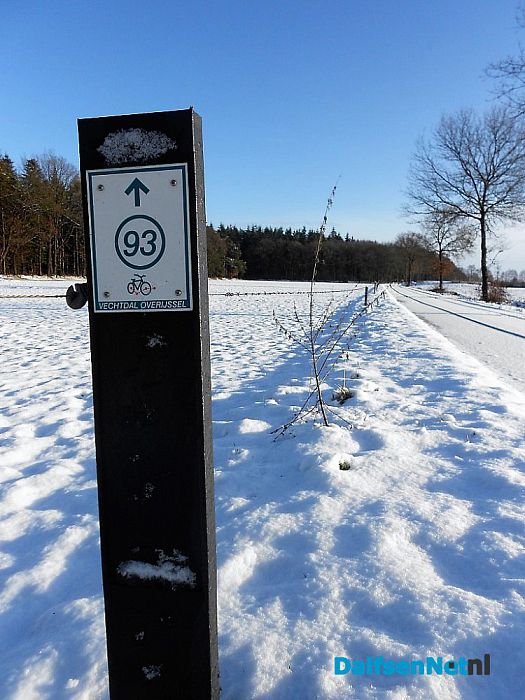 Op straat een zooi: maar de bossen super mooi