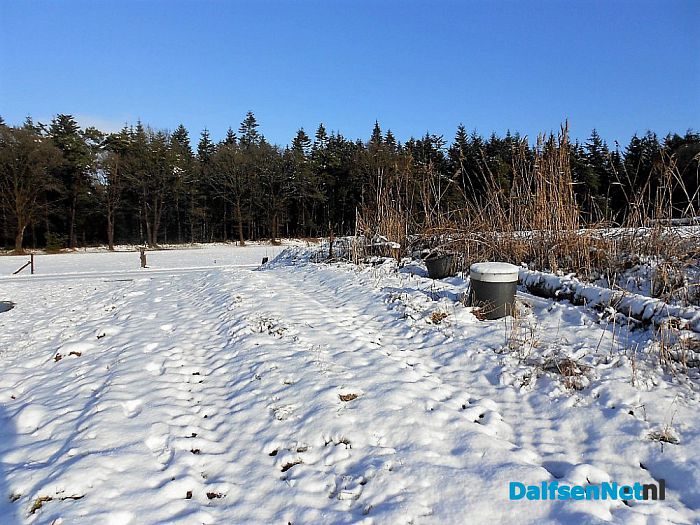 Op straat een zooi: maar de bossen super mooi