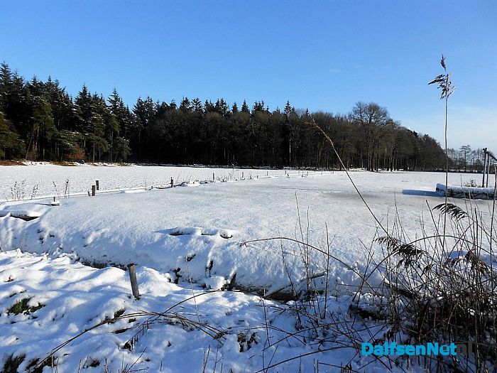 Op straat een zooi: maar de bossen super mooi