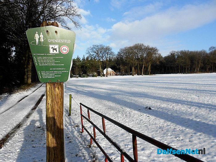 Op straat een zooi: maar de bossen super mooi