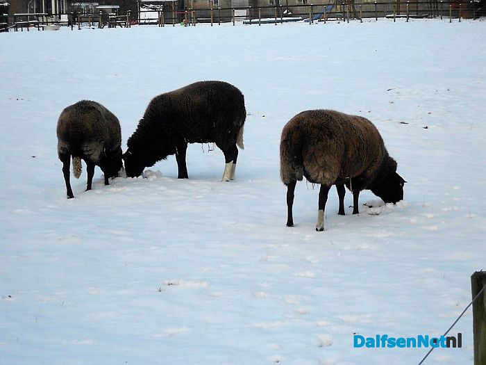 Op straat een zooi: maar de bossen super mooi