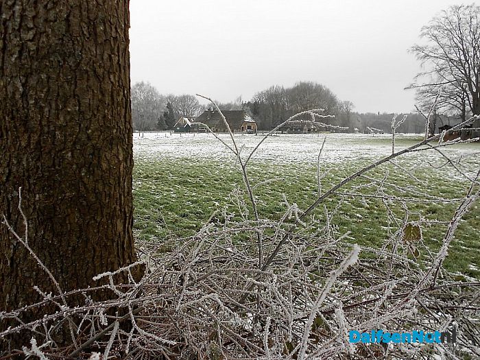 Winter in Dalfsen