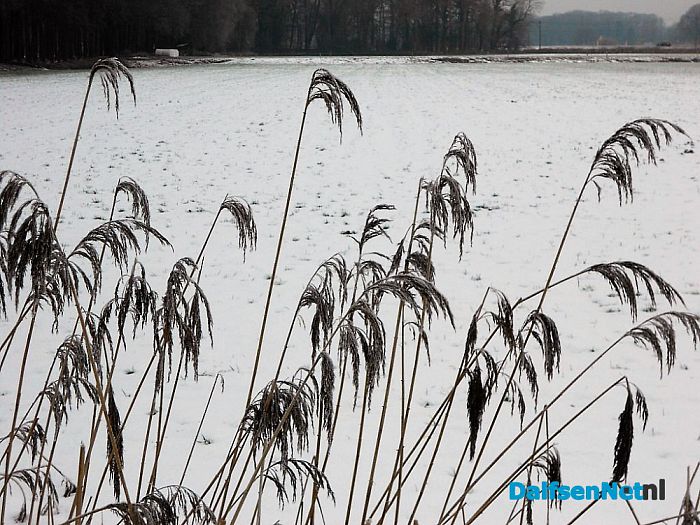 Winter in Dalfsen