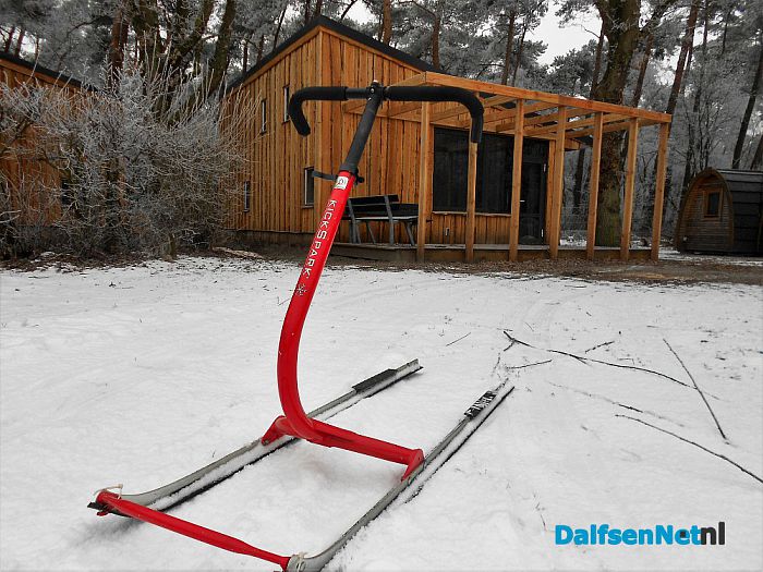 Nog volop winter in het Sterrebos