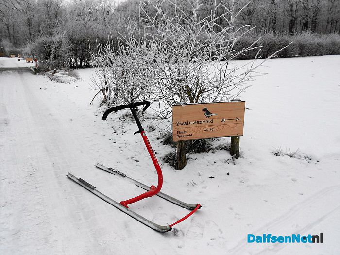 Nog volop winter in het Sterrebos