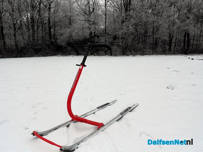 Nog volop winter in het Sterrebos