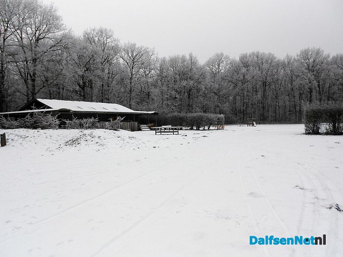 Nog volop winter in het Sterrebos