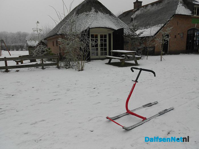 Nog volop winter in het Sterrebos