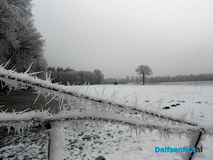 We gaan nog even door met de winterfoto’s