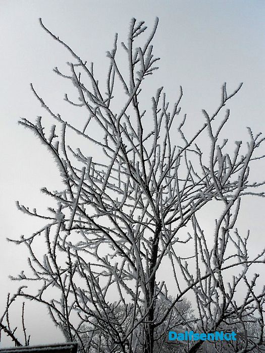 We gaan nog even door met de winterfoto’s