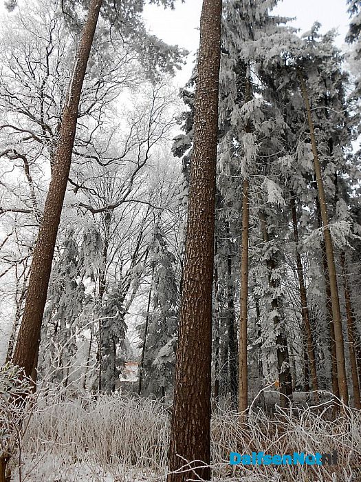 We gaan nog even door met de winterfoto’s