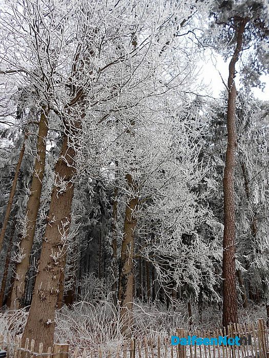 We gaan nog even door met de winterfoto’s