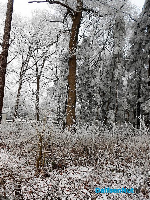 We gaan nog even door met de winterfoto’s