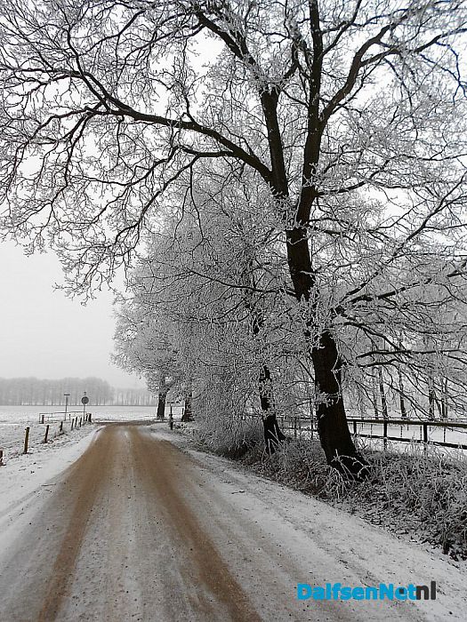 We gaan nog even door met de winterfoto’s