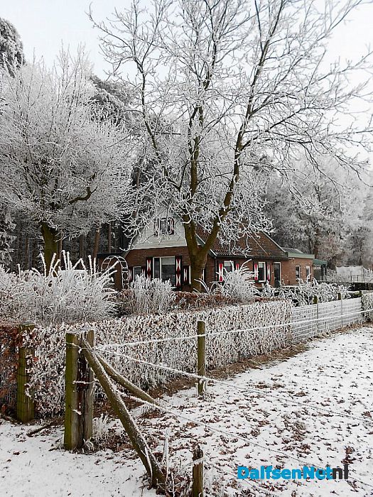 We gaan nog even door met de winterfoto’s