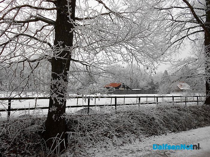 We gaan nog even door met de winterfoto’s
