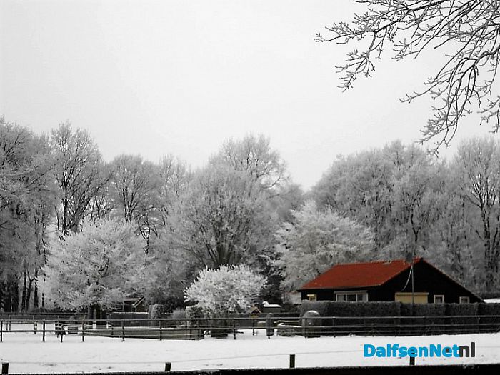 We gaan nog even door met de winterfoto’s