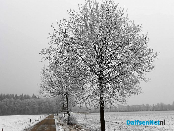We gaan nog even door met de winterfoto’s