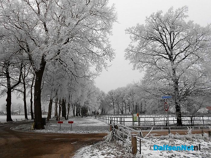 We gaan nog even door met de winterfoto’s