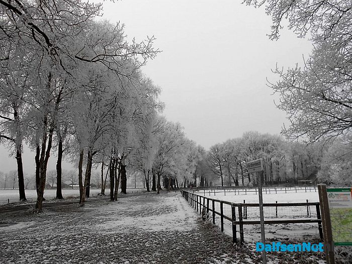 We gaan nog even door met de winterfoto’s