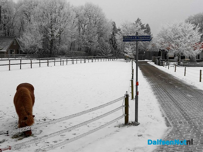 We gaan nog even door met de winterfoto’s