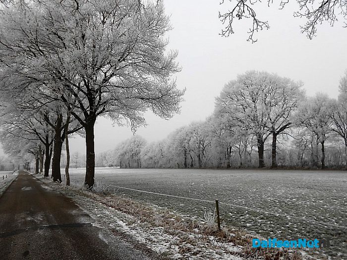 Vervolg winterfoto’s omgeving Hoonhorst
