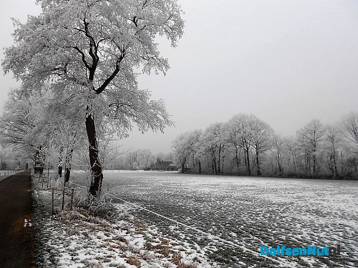 Vervolg winterfoto’s omgeving Hoonhorst