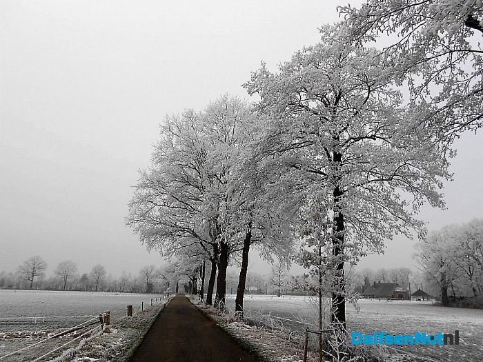 Vervolg winterfoto’s omgeving Hoonhorst