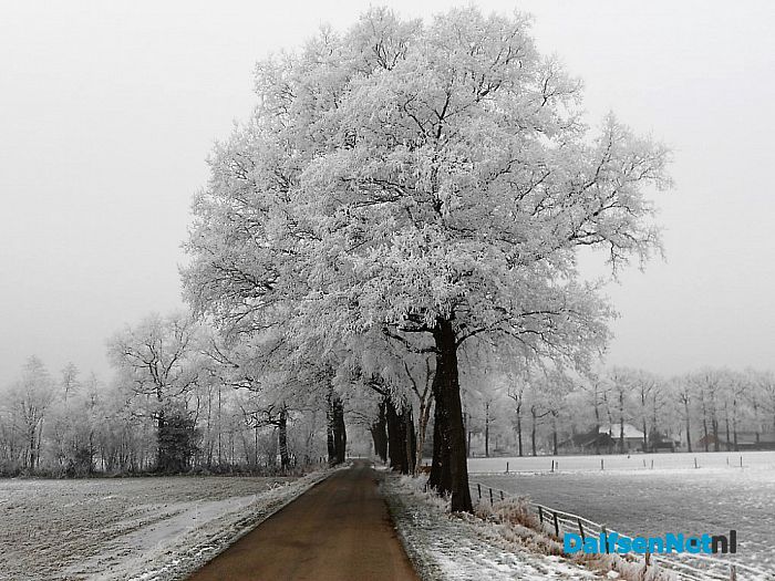 Vervolg winterfoto’s omgeving Hoonhorst