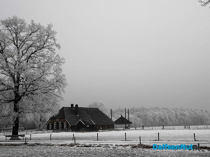 Vervolg winterfoto’s omgeving Hoonhorst
