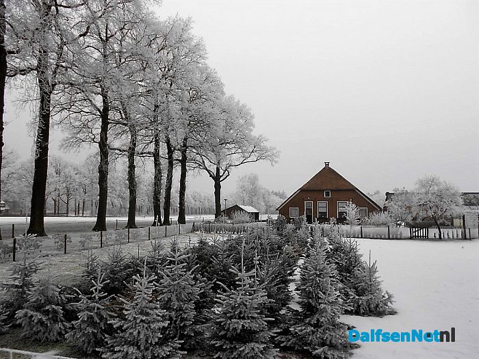 Vervolg winterfoto’s omgeving Hoonhorst