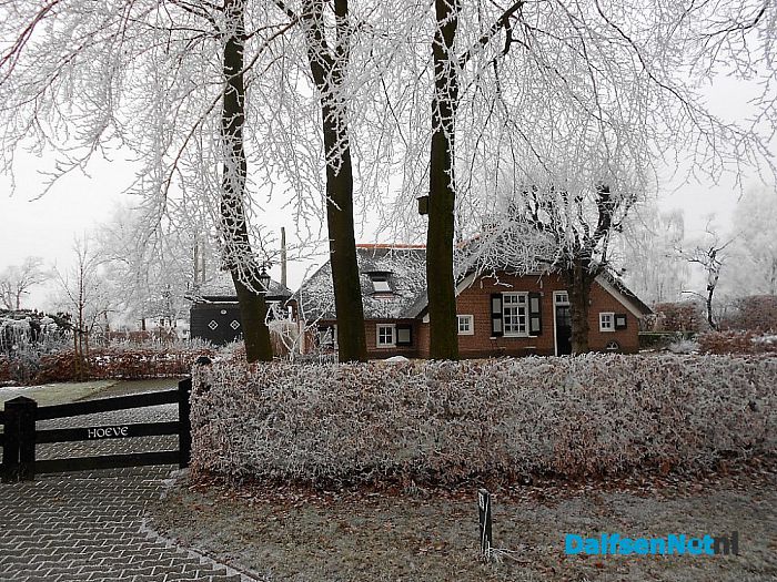 Vervolg winterfoto’s omgeving Hoonhorst