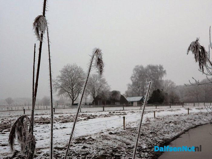 Vervolg winterfoto’s omgeving Hoonhorst