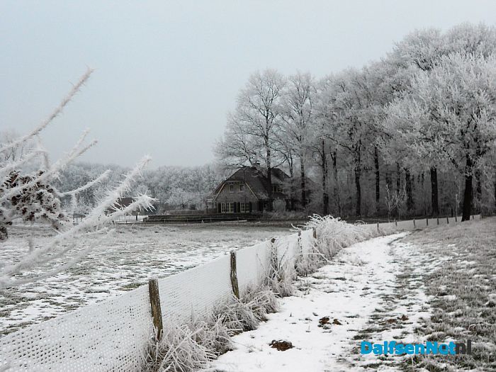 Vervolg winterfoto’s omgeving Hoonhorst
