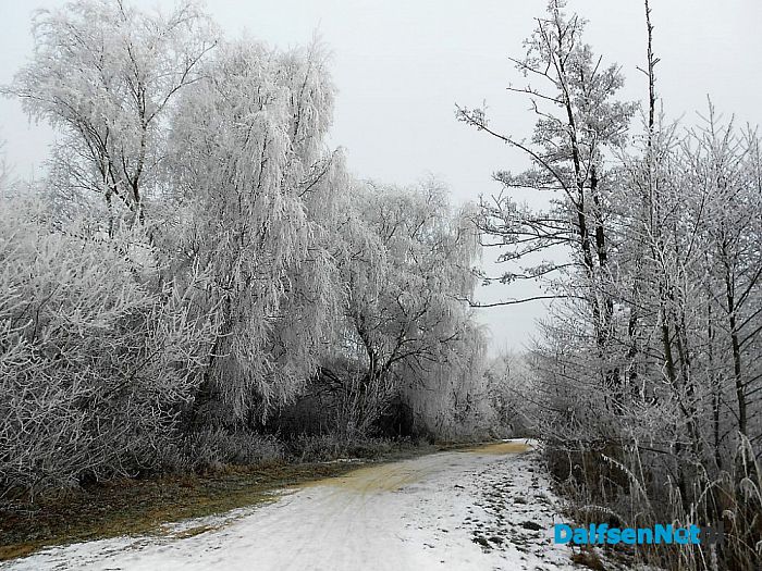 Wederom vervolg winterse sfeerbeelden