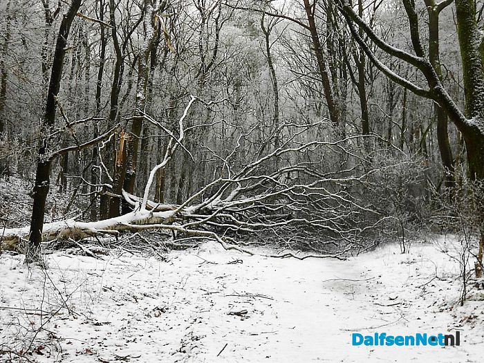 O.A. Prachtige Bellingeweer