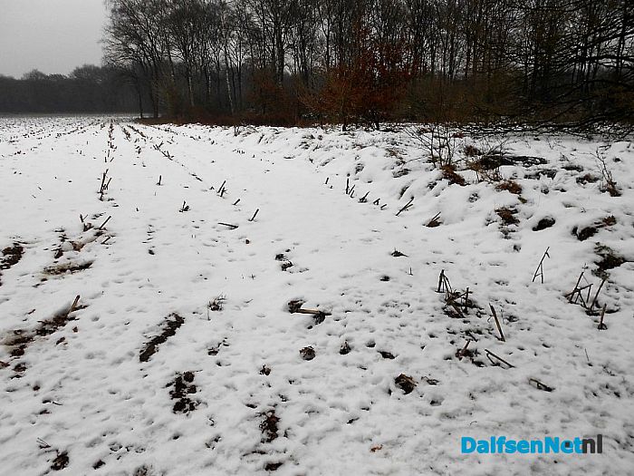 De sneeuw is overal nog lang niet weg