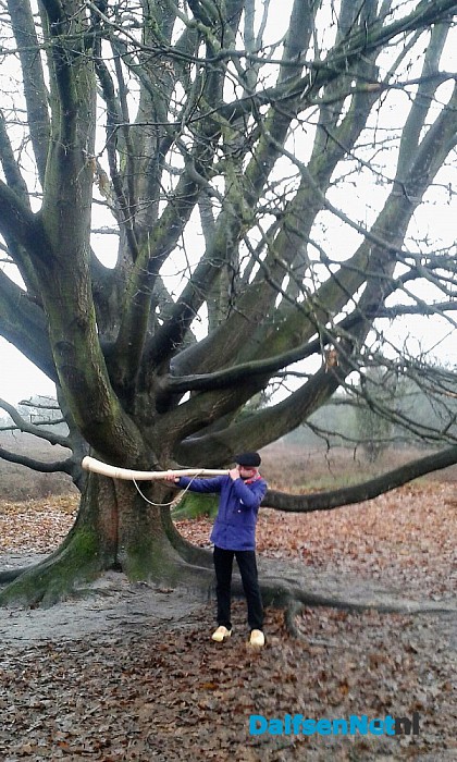 Bloasgroep Dalfs’n op de Lemelerberg - Foto: Ingezonden foto
