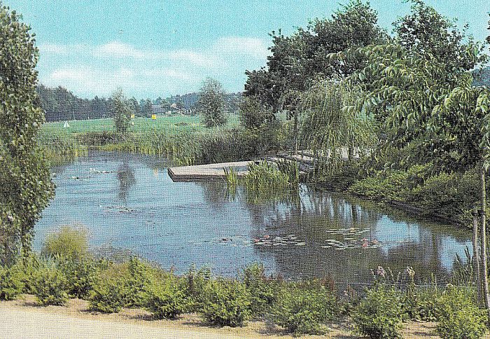 Vijver in wijk Polhaar, 1977 en nu - Foto: Eigen geleverde foto