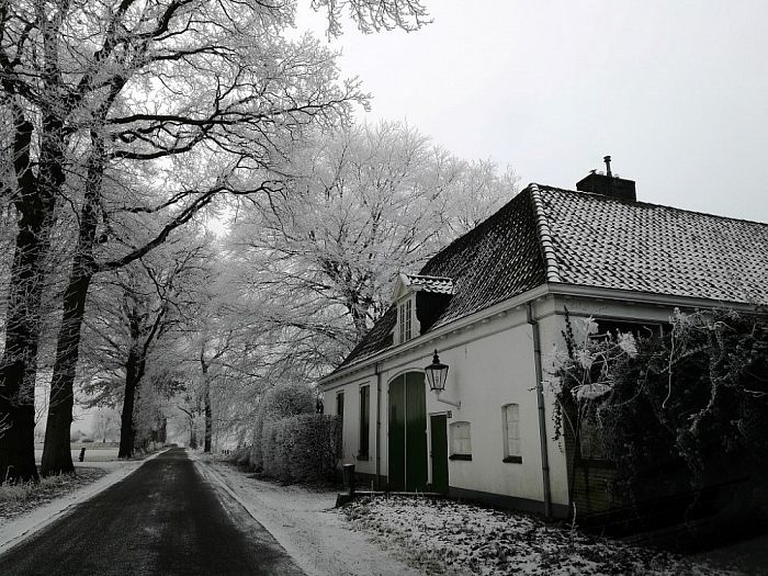 Mooi weer foto’s  van Nick Wessels - Foto: Eigen geleverde foto