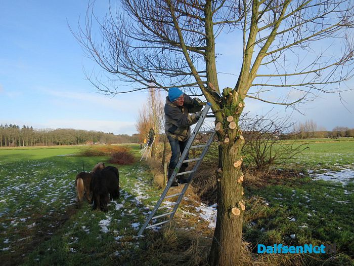 Snoeiploeg Dalfsen trotseert de winterse buien - Foto: Wim