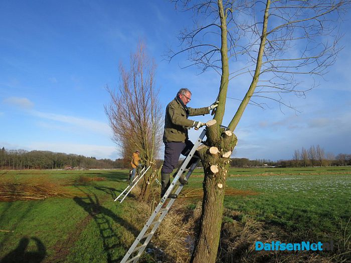 Snoeiploeg Dalfsen trotseert de winterse buien - Foto: Wim
