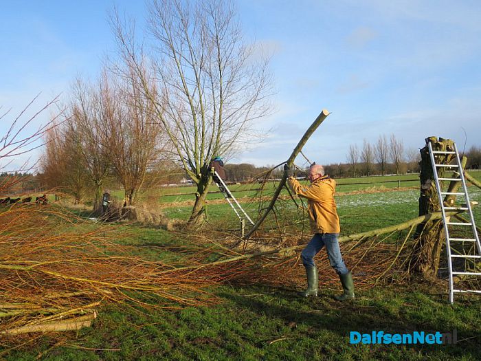 Snoeiploeg Dalfsen trotseert de winterse buien - Foto: Wim