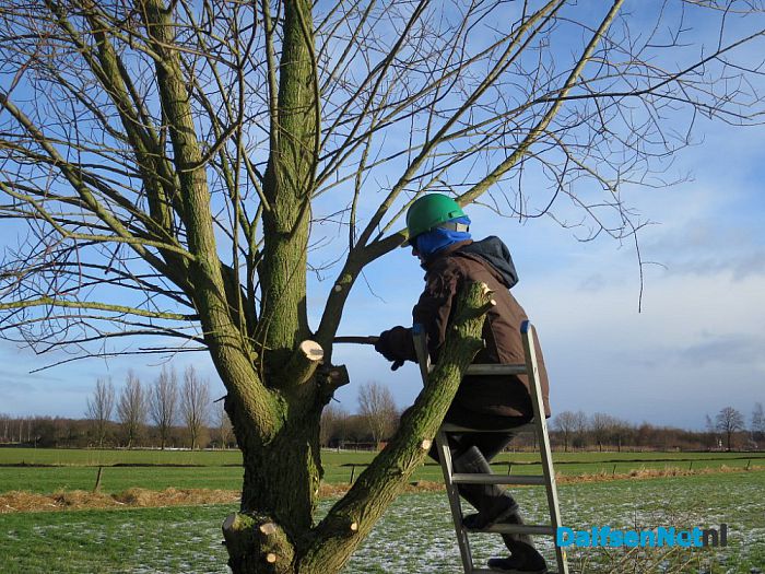 Snoeiploeg Dalfsen trotseert de winterse buien - Foto: Wim