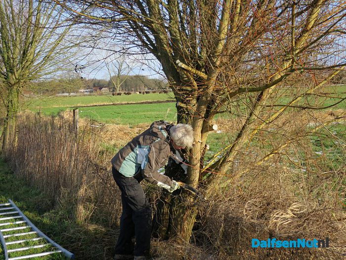 Snoeiploeg Dalfsen trotseert de winterse buien - Foto: Wim