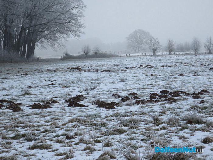 Winterse plaatjes rond Hoonhorst - Foto: Wim