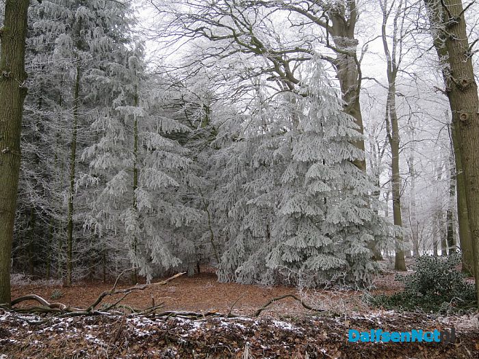 Winterse plaatjes rond Hoonhorst - Foto: Wim