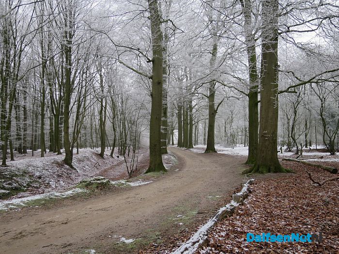 Winterse plaatjes rond Hoonhorst - Foto: Wim