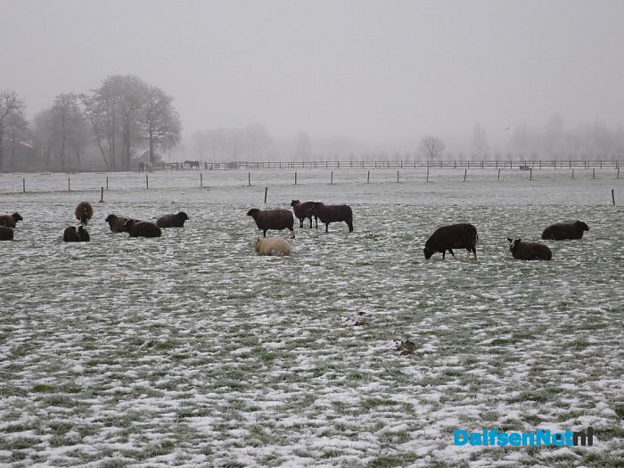 Winterse plaatjes rond Hoonhorst - Foto: Wim